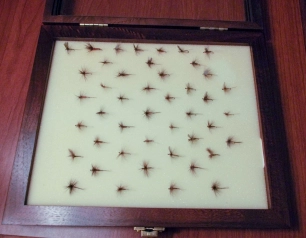 The complete set The complete set