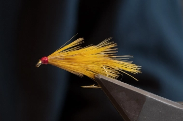 Yellow Roofed Omoe Brush Yellow Roofed Omoe Brush