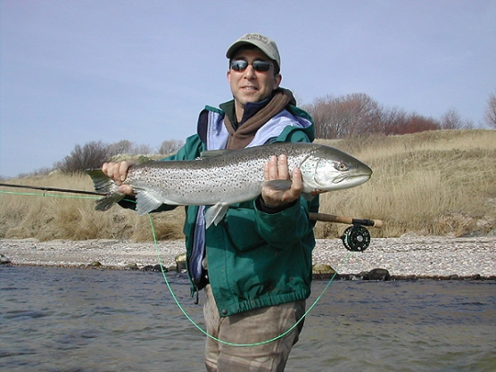 Fantastic spring - image Fantastic spring - image