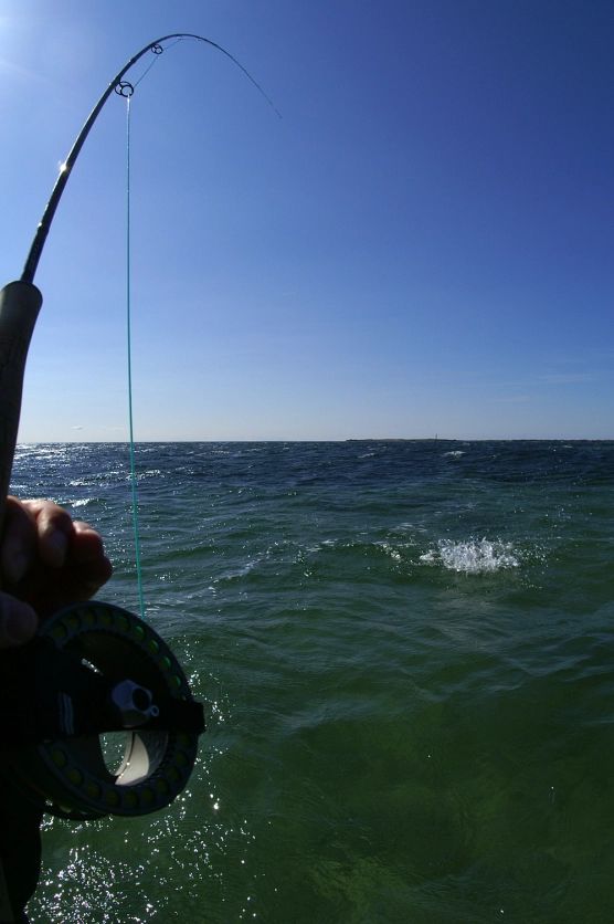 What a day! - image What a day! - image