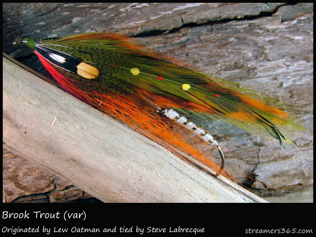 #85 Brook Trout (var) - Steve Labrecque