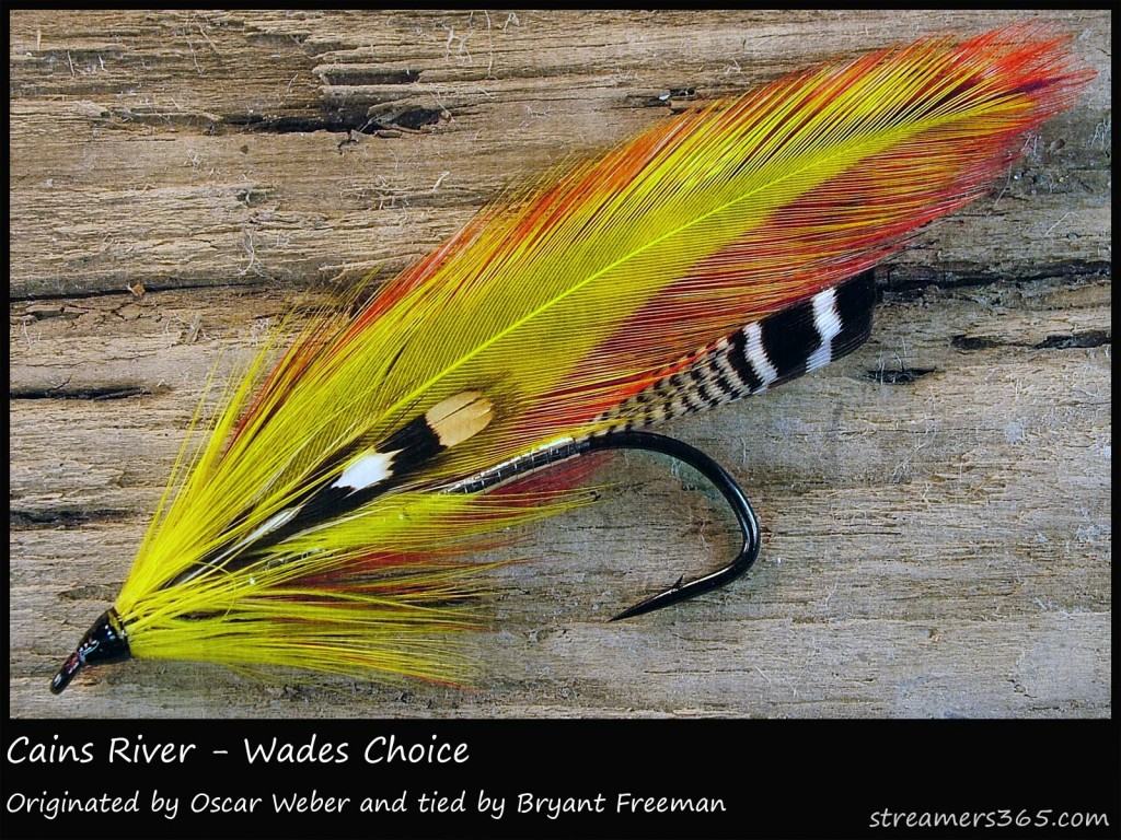 #106 - Cains River Wades Choice - Bryant Freeman