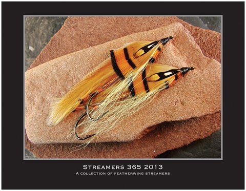 2013 Streamers 365 Wall Calendar