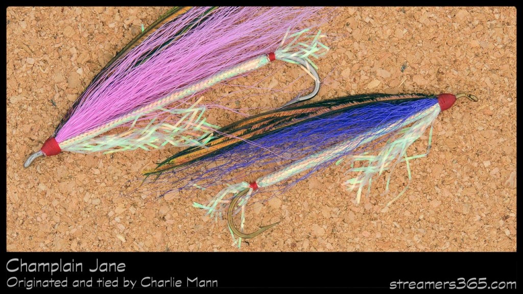 #79-2013 Champlain Jane - Charlie Mann