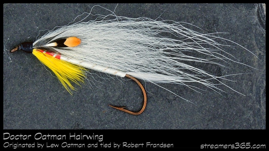 #82-2013 - Doctor Oatman Hairwing by Robert Frandsen