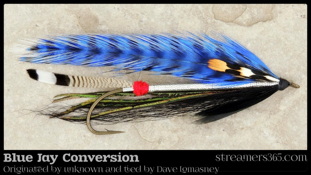 Blue Jay Conversion - Dave Lomasney