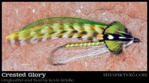 Crested Glory - Kevin Kirkelie