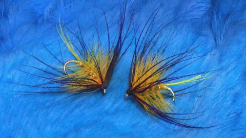 Video thumb for Ken's Golden Olive Bumble