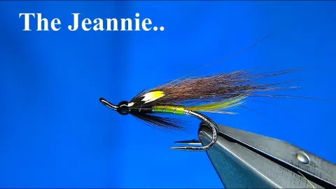 Video thumb for Jeannie