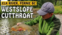 Video thumb for Drifting and fly fishing the Elk River