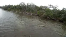 Video thumb for Fly Fishing Alaska 2011