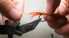 Video thumb for Wrapping GP hackle by the stem