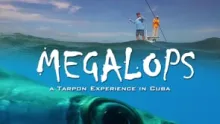 Video thumb for Megalops