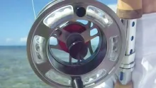 Video thumb for Tribute to Bonefish