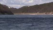 Video thumb for Ponoi River salmon