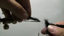 Video thumb for Black Streamer