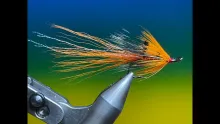 Video thumb for Ally's Shrimp