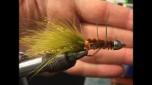 Video thumb for Monster Bugger