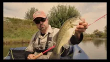 Video thumb for Like Swimming Ducks