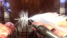 Video thumb for Red and White Seaducer