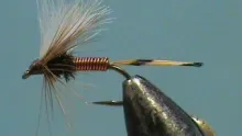 Video thumb for DC's Wet Wire Western Coachman
