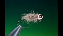 Video thumb for Walt's Worm