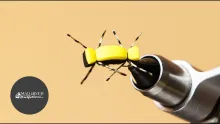 Video thumb for Sandwich Cricket