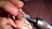 Video thumb for Soft touch shrimp