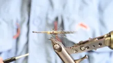 Video thumb for Grizzly Fur Shrimp