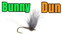Video thumb for Cannon's Bunny Dun