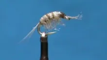 Video thumb for Scud
