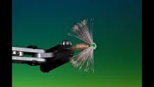 Video thumb for Delta Wing Caddis