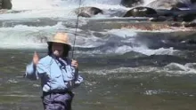 Video thumb for Stepping into the stream