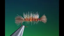 Video thumb for Palmered Shipman's