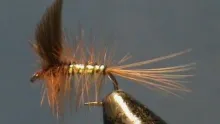Video thumb for Wickhams Fancy
