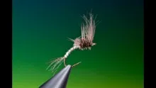 Video thumb for Generic Cripple Mayfly