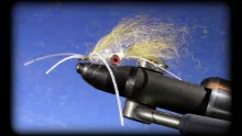 Video thumb for Squimp