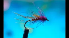Video thumb for Bob's Bits Claret CDC Hopper