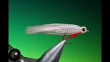 Video thumb for 3M Minnow