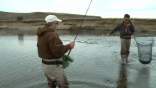 Video thumb for Patagonian Silver