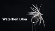 Video thumb for Waterhen Bloa