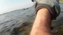 Video thumb for Pikes in May