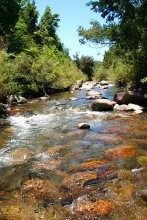 User submitted picture: Estero Cordillerano en la...