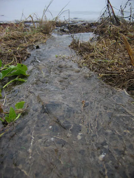 Small stream - Extremely small, actually