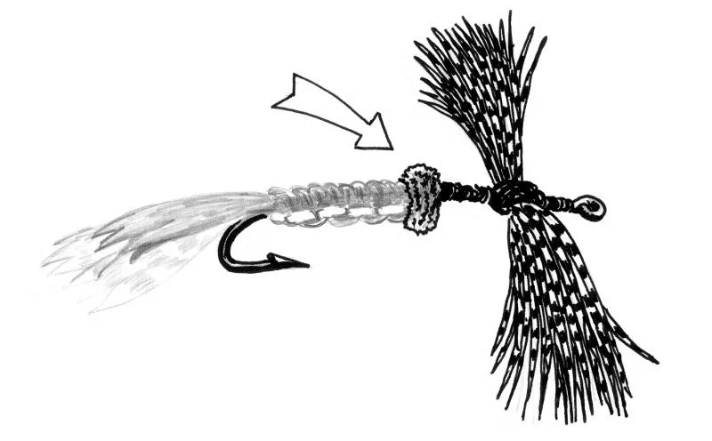 Step 7 - Belt and legs - Change to black thread. Tie a belt of Metallic Braid among the 10th and 11th knots of the abdomen. Secure it on the top of the fly.
Tie the legs of orange grizzly hackle, approximately 1,5 centimeters or slightly more than half and inch long. You can do it by palmering the hackle and then tying it to the sides, or by just cutting the hackle fibers before and then tying them in position. Secure the legs well with thread.
