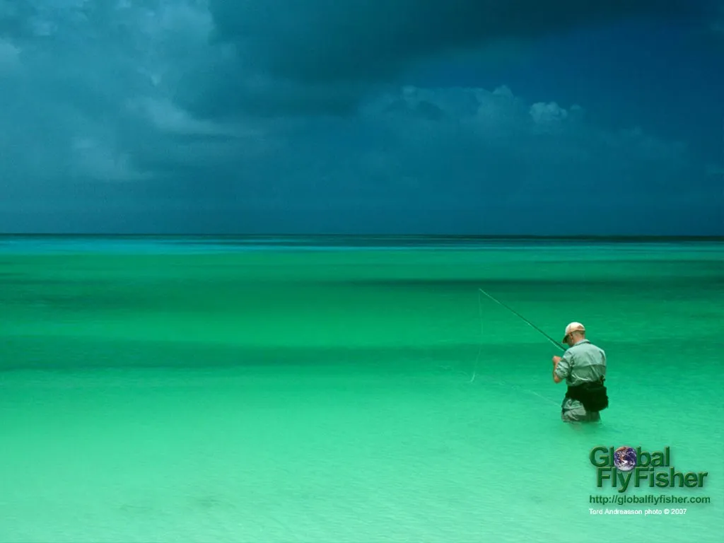 Computer screen wallpaper: Bonefishing